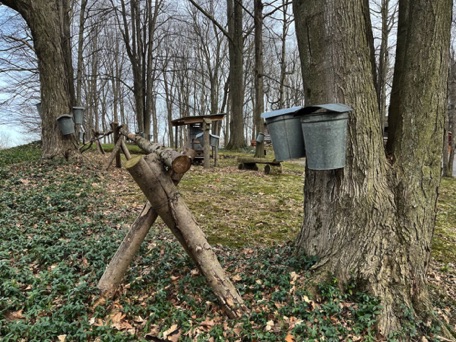 Everson's Maple Sugar Farm